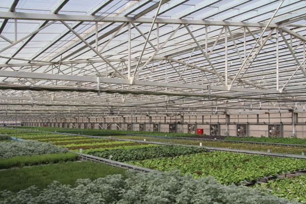 Rooftop Greenhouses