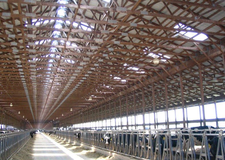 COWSHED ROOFLIGHTS / USA