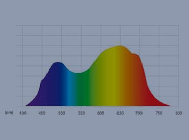 Greenhouse Daylight Optimization