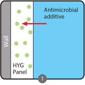 HYG_Sketch_Stage_1-300x298