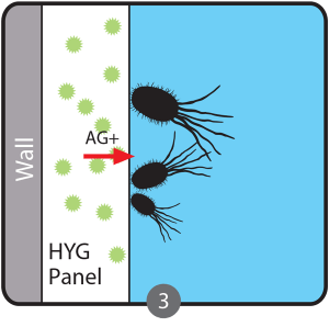 HYG_Sketch_Stage_3-300x298