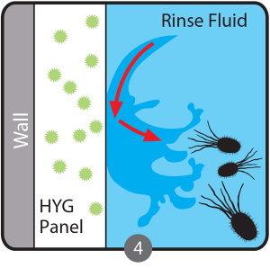 HYG_Sketch_Stage_4-300x298