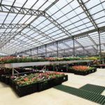 Polycarbonate sheets - the material for a sustainable greenhouse