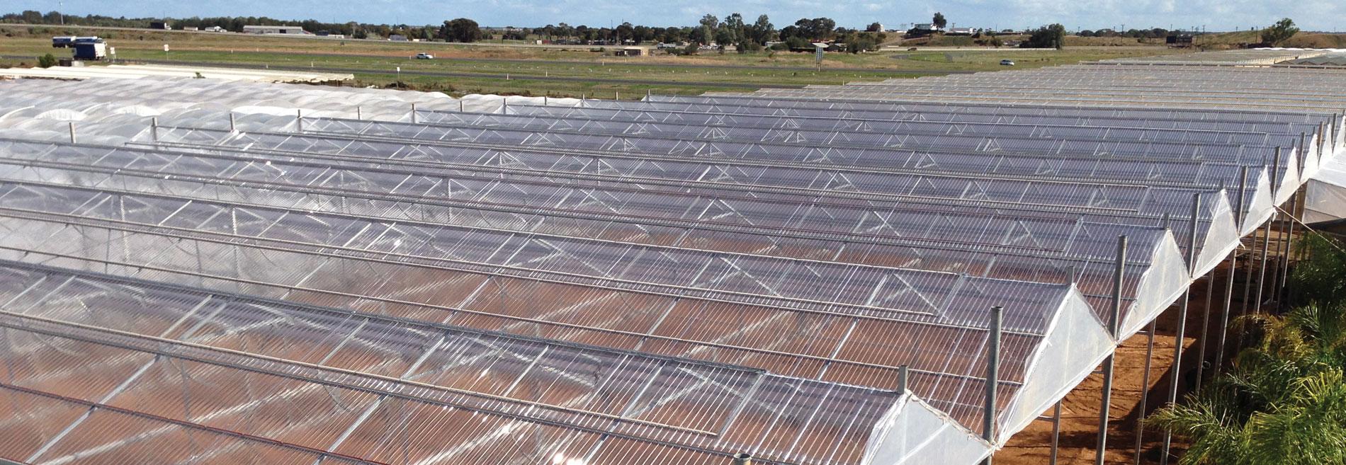 Lámina de policarbonato, aislamiento transparente para techos, paneles de  iluminación diurna para cobertizos de invernadero, techos, cocheras, toldos