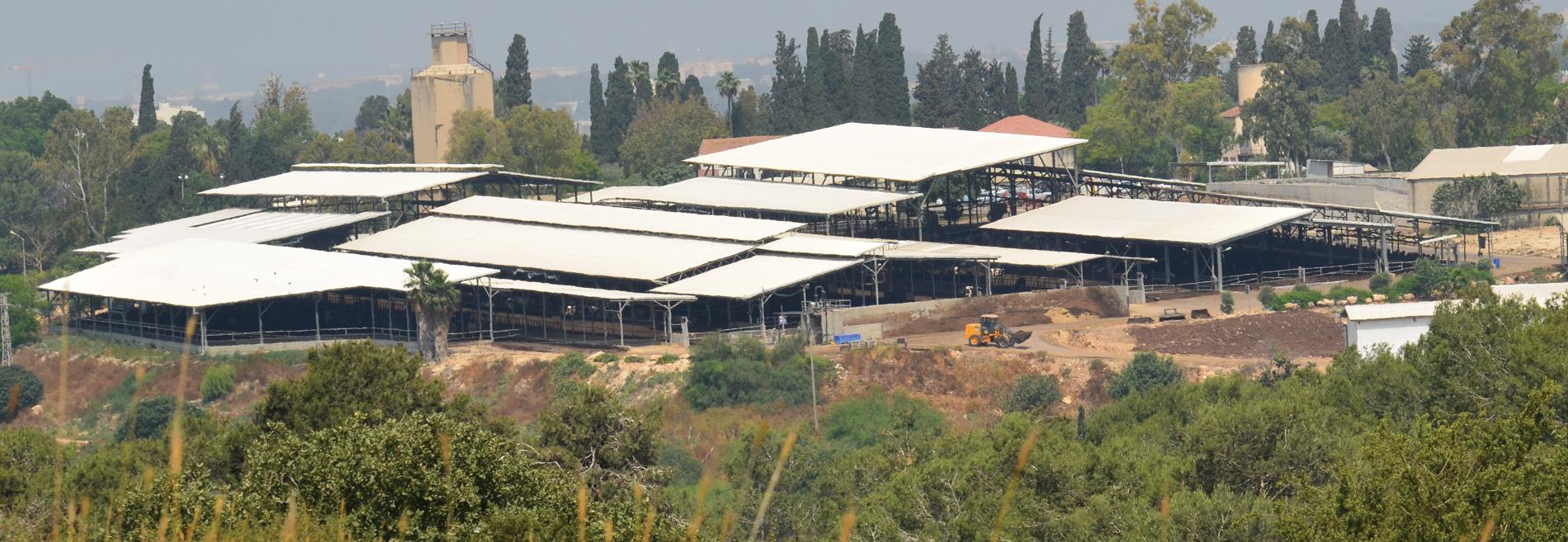 Animal Houses PALRUF Cowshed Roofing