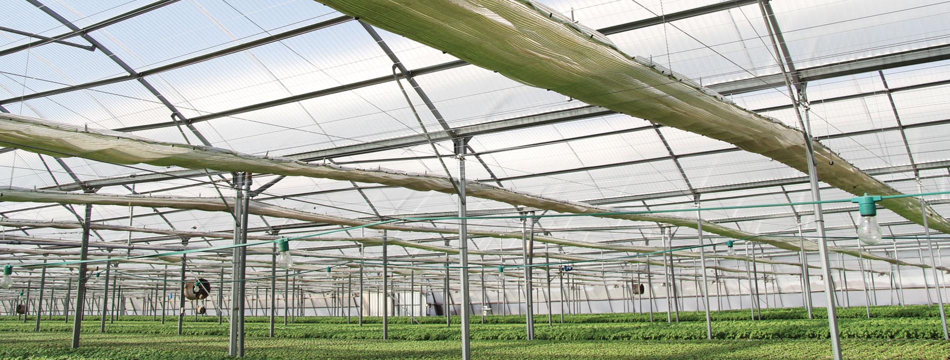 Palram Commercial Greenhouse Coverings