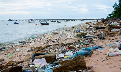 Déchets plastiques dans le secteur du bâtiment et de la construction