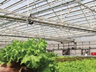 Greenhouse_Coverings_Agriculture_2