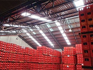 Skylights_Construction_&_Architecture_IL