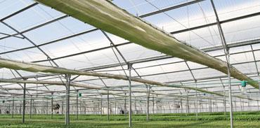 COMMERCIAL GREENHOUSES