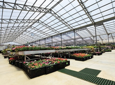 Polycarbonate sheets - the material for a sustainable greenhouse