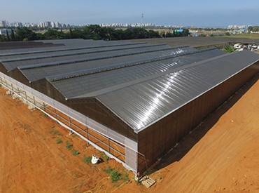 Innovative Roofing for Garden Centers and Commercial Greenhouses