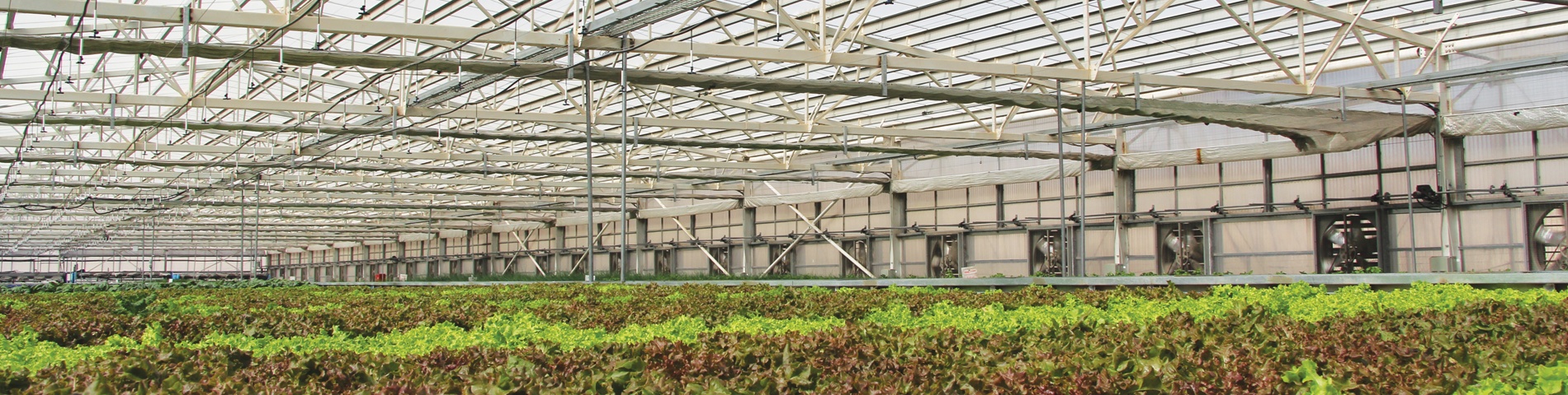 Palram greenhouse solutions