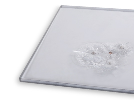 PALSHIELD®