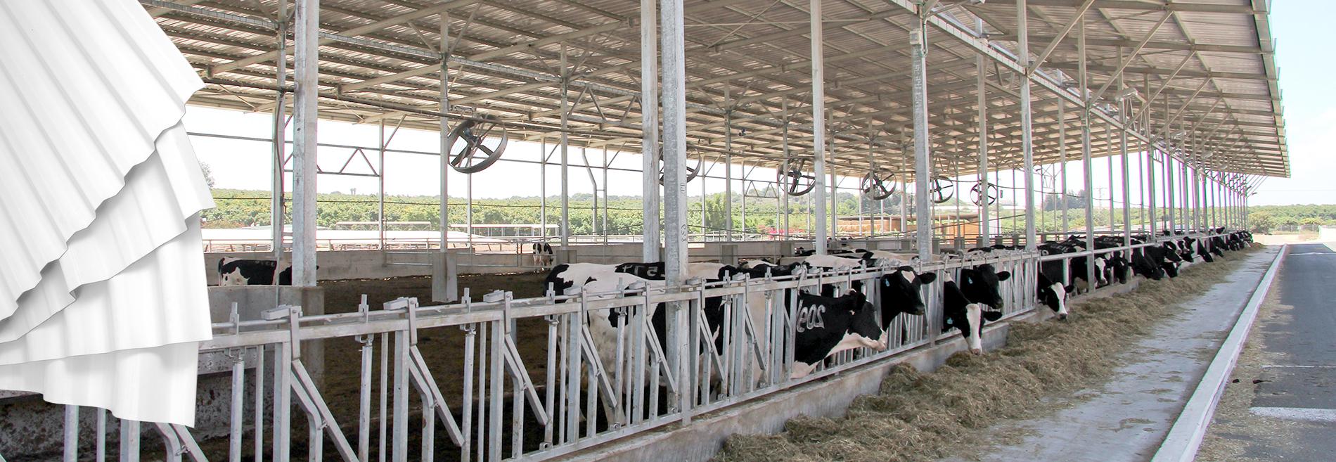 polycarbonate greenhouse covering