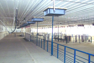 Equestrian Facilities