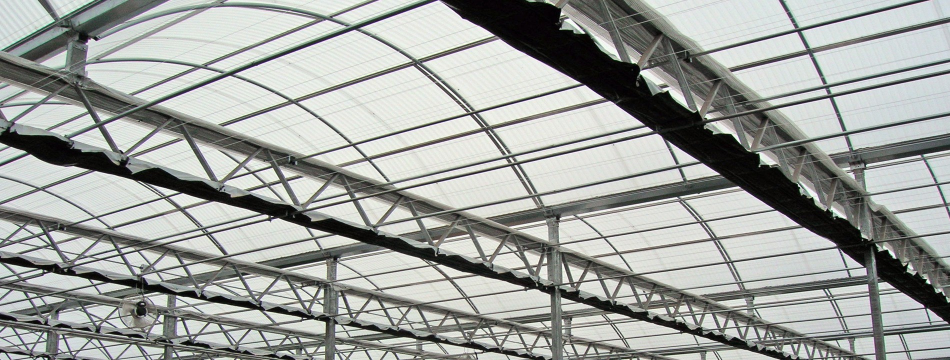 arched roof greenhouse