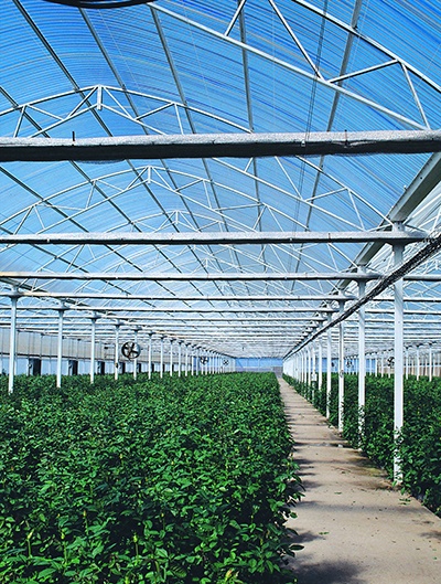 DynaGlas Clear Corrugated Roofing Polycarbonate Panels – Greenhouse  Megastore