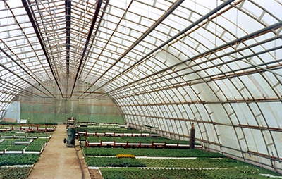 DynaGlas Clear Corrugated Roofing Polycarbonate Panels – Greenhouse  Megastore