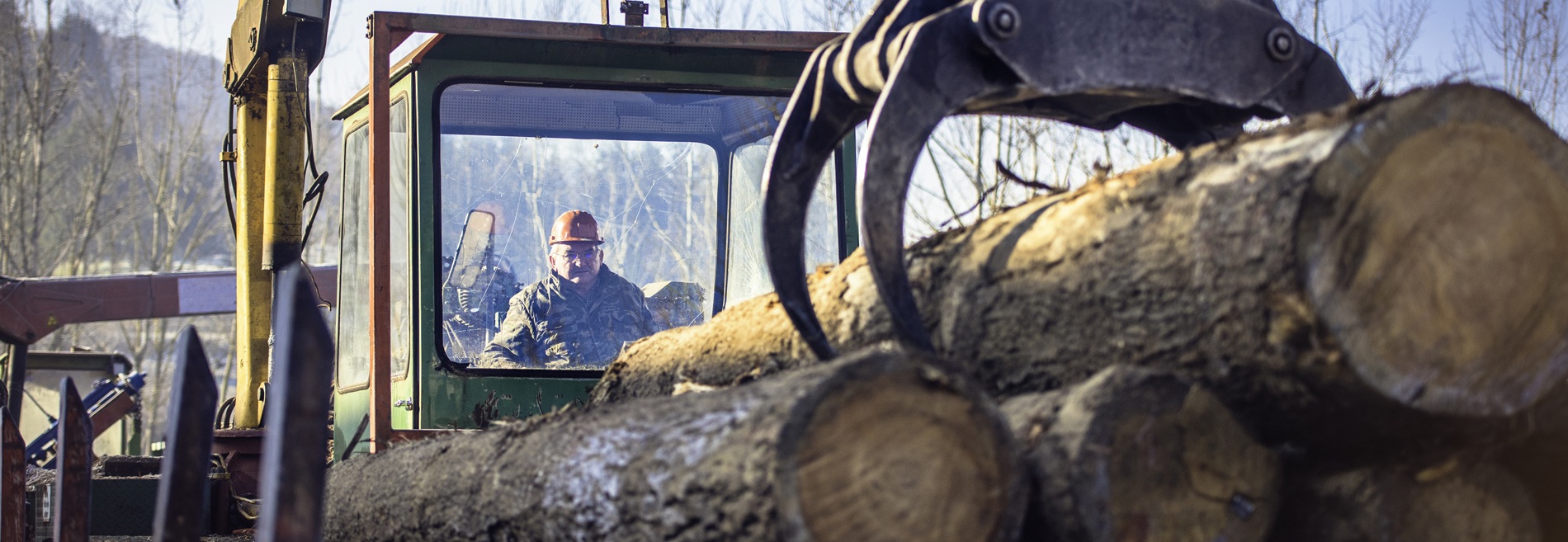 Forestry & Construction