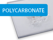 Palshield-home-page1