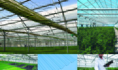 Choosing the Right Greenhouse Covering to Maximize DLI