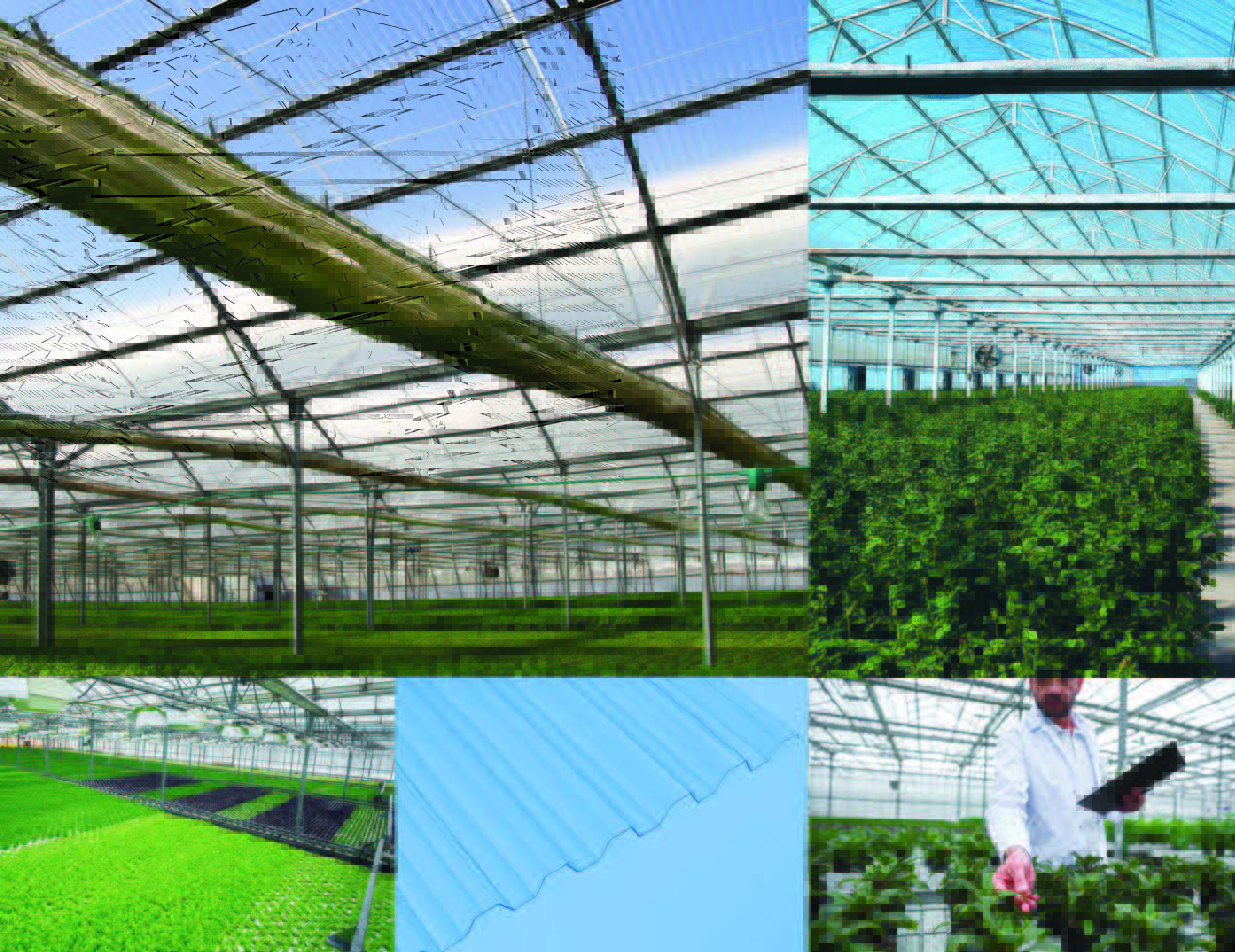 Choosing the Right Greenhouse Covering to Maximize DLI