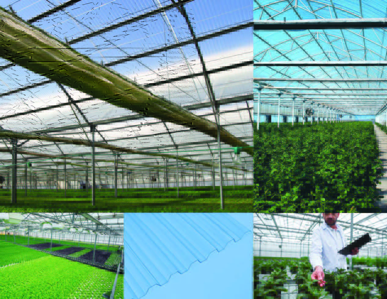 Choosing the Right Greenhouse Covering to Maximize DLI