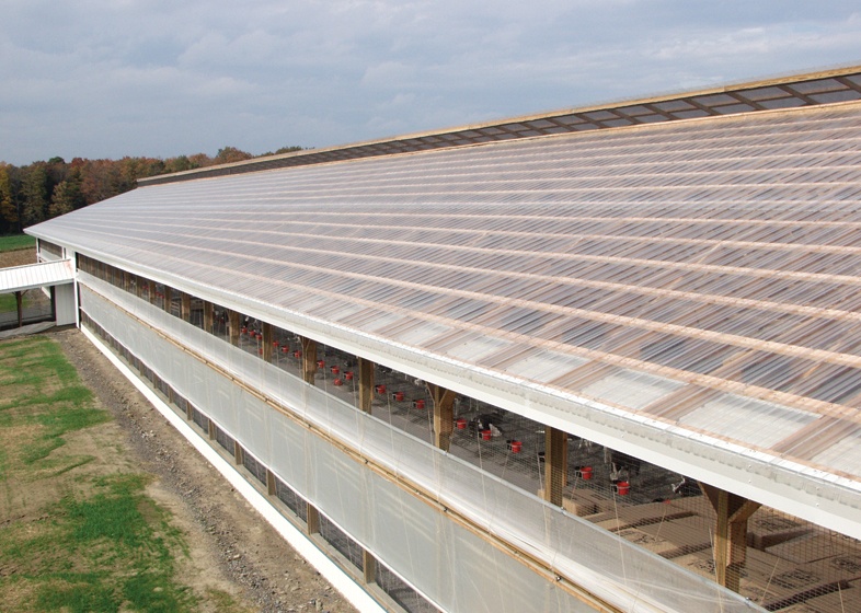 COWSHED ROOF / USA