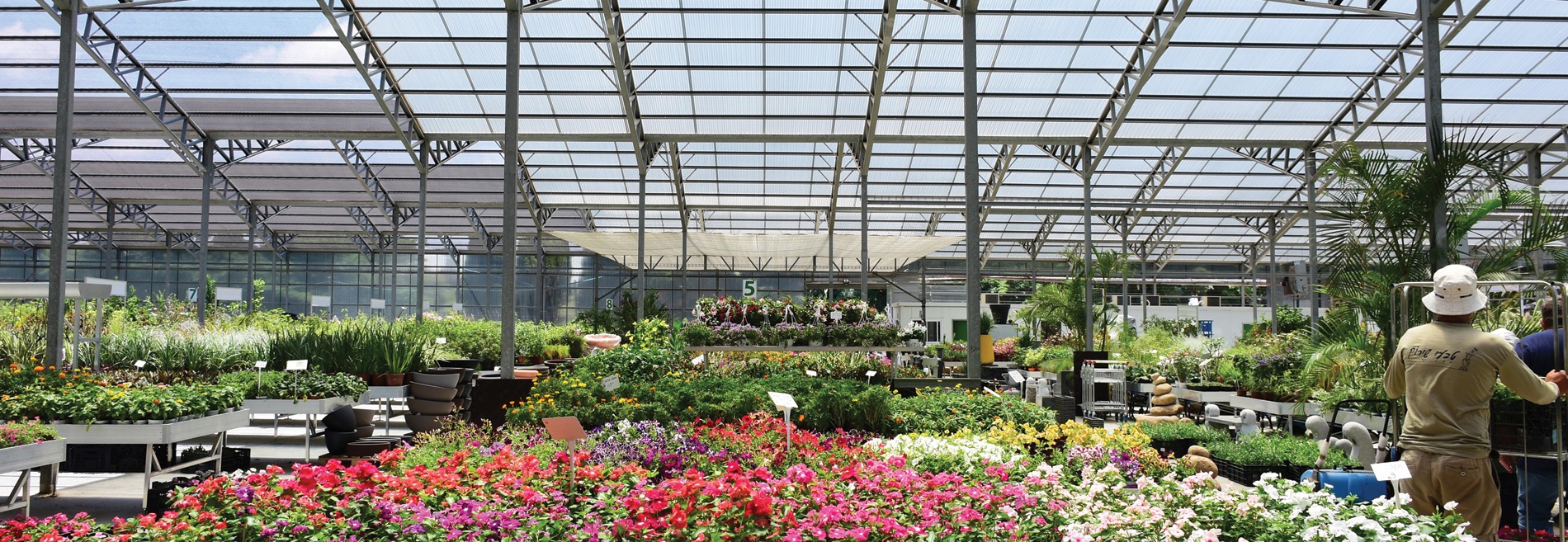  GREENHOUSE  PLANT NURSERY  ISRAEL Palram Industries Ltd