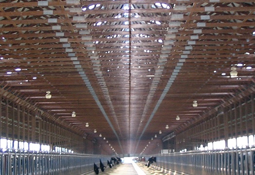 COWSHED ROOFLIGHTS / USA