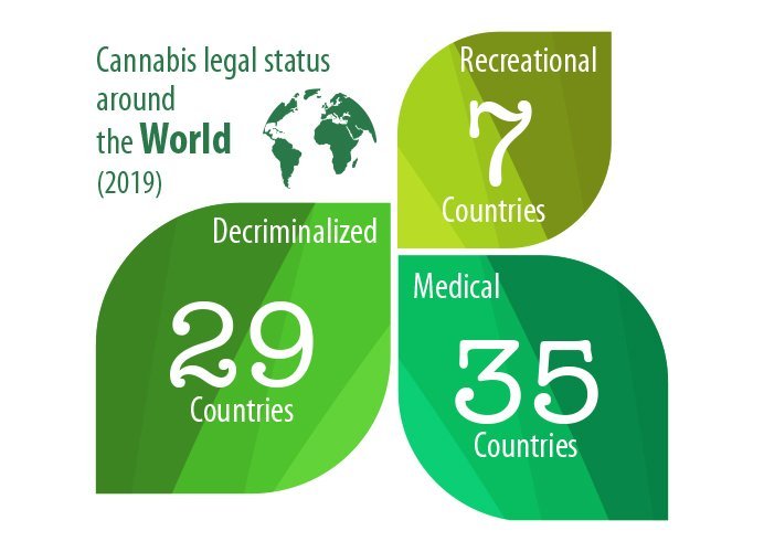 What makes North American cannabis growers feel secure?