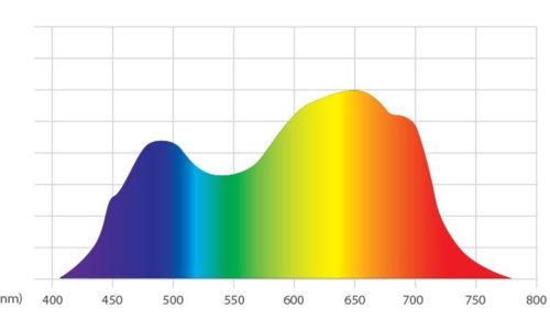 Greenhouse Daylight Optimization