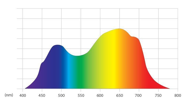 Greenhouse Daylight Optimization