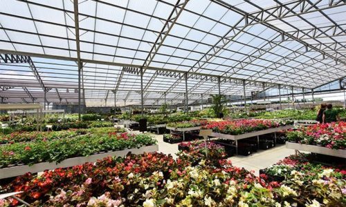 Local grower designs a top-of-the-art retail gardening center