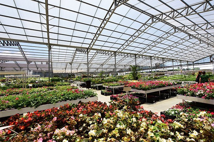 Local grower designs a top-of-the-art retail gardening center