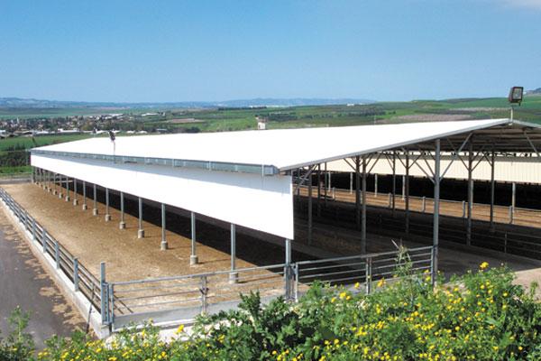 Animal Feed Centers