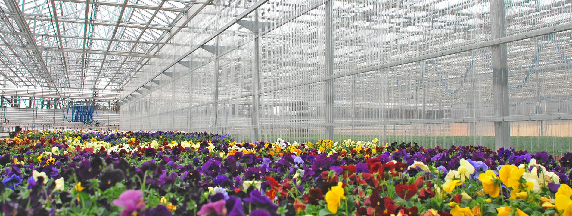Commercial Greenhouse Coverings