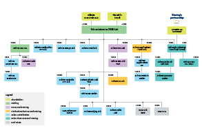 Business Structure